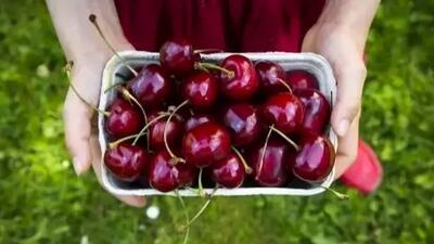  این 5 خوراکی ممکن است به سلامتی شما آسیب بزنند!