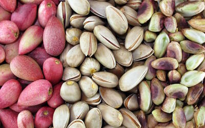  راهنمای انتخاب و خرید پسته؛ انواع پسته و بررسی کیفیت و تازگی