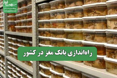 راه‌اندازی بانک مغز در کشور