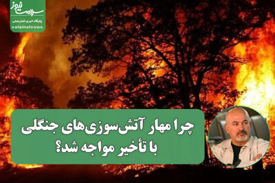  چرا مهار آتش‌سوزی‌های جنگلی با تأخیر مواجه شد؟