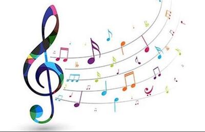 راز پرندگان