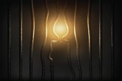 راهی که امام هادی (ع) با زیارت جامعه کبیره پیش‌پای شیعه گذاشته‌اند | هدایت به‌سوی نور