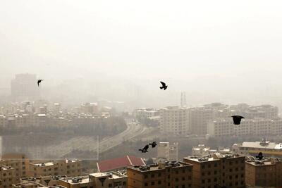 سایه سنگین سموم پنهان بر فراز ایران