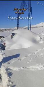 تصویر جالب از ارتفاع یک متری برف در جیرفت کرمان