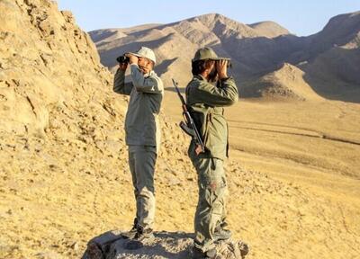 زخمی شدن دو محیط‌بان در درگیری با شکارچیان غیرمجاز