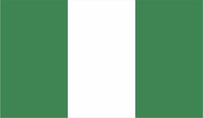  حمله مسلحانه به یک مسجد در نیجریه