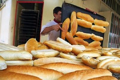  نمایشگاه صنایع غذایی، آرد و نان در زنجان کار خود را آغاز کرد