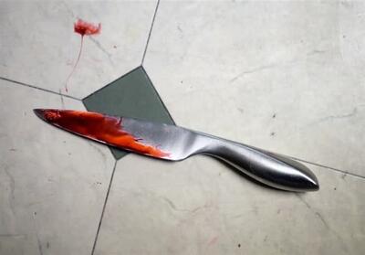 قتل پسر جوان در پارک شهرری پس از قرار درگیری - تسنیم