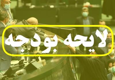  جزئیات بودجه 1405| سقف وام اشتغال خرد ثابت ماند - تسنیم