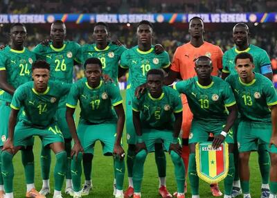 پارادوکس عجیب: قربانی سنگال رکوردشکن شد!