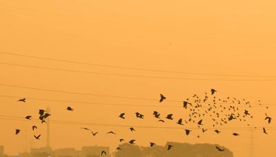 هشدار هواشناسی برای آلودگی هوا و فعالیت سامانه بارشی