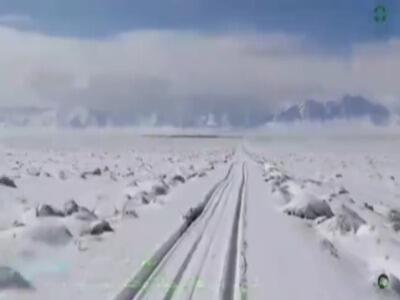 آهوها زیر برف تنها نماندند