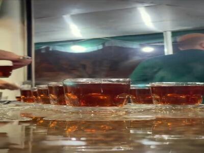  استوری/ تویی که ضامن زندگیم شدی امام رضا(ع)...