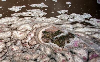 تصاویر امیدوارکننده از زنده شدن دریاچه خوشگل ایران