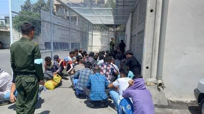  جمع آوری اتباع غیرمجاز در شهرستان سلطانیه