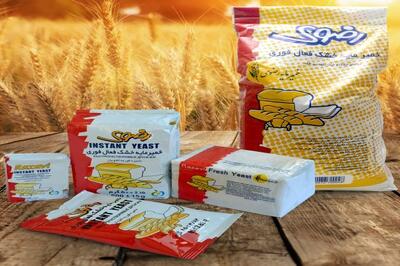 رشد 33 درصدی فروش «غمایه» در 9 ماهه