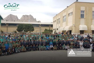 مروری بر روند فروش یک ساله «شگل»