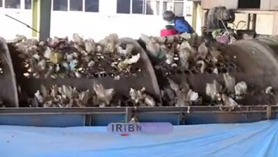 پشت پرده بوی نامطبوع جنوب تهران فاش شد + ویدیو