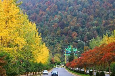 ویدیو / بارش سنگین باران در نمک آبرود مازندران