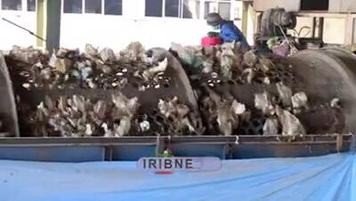 پشت پرده بوی نامطبوع جنوب تهران چیست؟