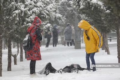 برف، باران، کولاک، سرما و آلودگی هوا در راه است | هشدار زرد هواشناسی برای این مناطق | احتمال قطعی برق هم هست