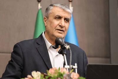 خبر مهم رئیس سازمان انرژی اتمی؛ از ۲ سال پیش تا الان چند محصول تولید شده است؟