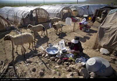  عشایر قصرشیرین؛ مرزبانان خط مقدم تولید