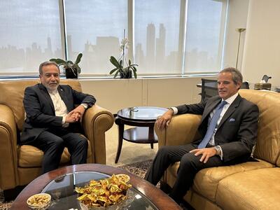 آژانس بین‌المللی انرژی اتمی در دفاع از منشور و وظیفه ذاتی خود دچار خلاء رویه‌ای شده است