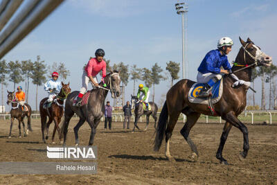  تاخت ۷۲ اسب در روز دوم هفته هفتم کورس پاییزه گنبدکاووس+فیلم