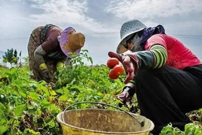 مادران کارگر؛ لقمه نانی که جان را نشانه می‌گیرد