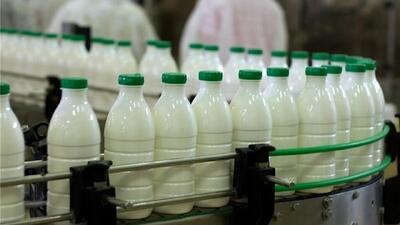 شکست گرانی ۸۰ درصدی؛ لبنیات یارانه‌ای ارزان به سفره‌ها بازگشت