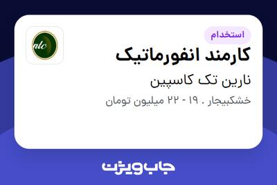  استخدام کارمند انفورماتیک در نارین تک کاسپین