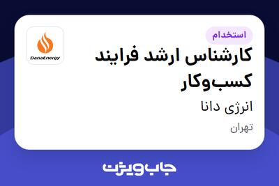  استخدام کارشناس ارشد فرایند کسب‌وکار در انرژی دانا