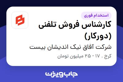  استخدام کارشناس فروش تلفنی (دورکار) در شرکت آفاق نیک اندیشان بیست
