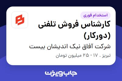 استخدام کارشناس فروش تلفنی (دورکار) در شرکت آفاق نیک اندیشان بیست