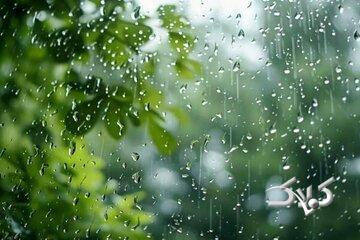 باران به عنوان نماد رحمت، برکت و امید - مجله اینترنتی کولاک