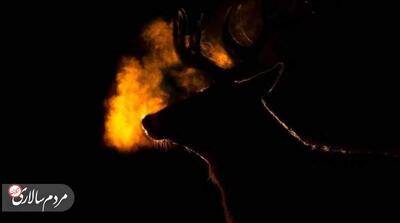 تصاویر؛ برندگان مسابقه عکاسی علمی انجمن سلطنتی ۲۰۲۵ - مردم سالاری آنلاین