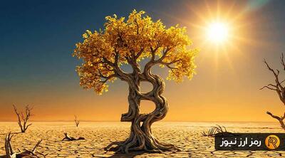 واگرایی تاریخی در بیت کوین؛ کف قیمت شکل گرفته؟