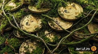 مروری بر مهم‌ترین خاطرات دوج کوین در سالی که گذشت!