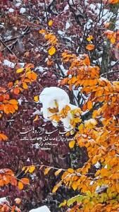  دعای ویژه برای شما عزیزان در شب آرزوها / فیلم