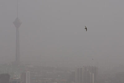 هوای تهران؛ وضعیت قرمز، تهدیدی برای سلامت همه