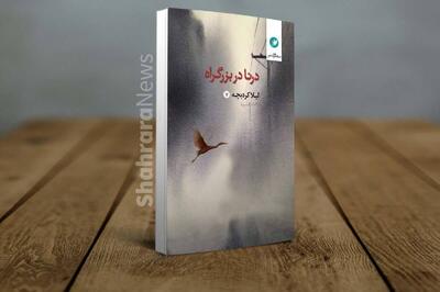 برفی که آن همه راه آمده بود | نگاهی به «درنا در بزرگراه» هفتمین مجموعه شعر لیلا کردبچه