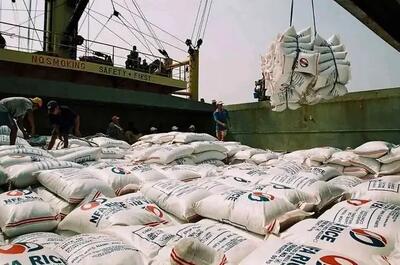 برنج خارجی در بازار نایاب شد