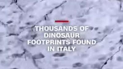  هزاران ردپای دایناسور با قدمت 200 میلیون سال در دره‌ای کوهستانی در ایتالیا کشف شد.