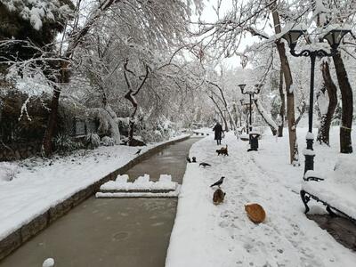 پیش‌بینی کارشناس بین‌المللی هواشناسی از آسمان ایران