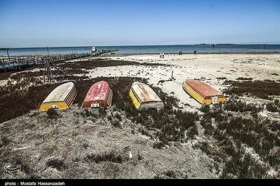 تهدید محیط زیست، اقتصاد و سلامت میلیون‌ها نفر با خشکی خلیج گرگان - تسنیم