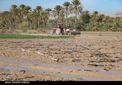 «سیلاب» سرمایه کشاورزان فاریاب را بلعید؛ هشدار درباره موج جدید بارندگی - تسنیم