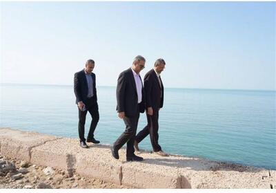 تصویب 9.8 میلیارد تومان برای ایمن‌سازی روستاهای تنگستان تصویر - تسنیم