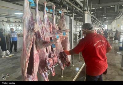 راه‌اندازی نخستین کشتارگاه صنعتی استان بوشهر به ظرفیت 320 راس دام تصویر - تسنیم