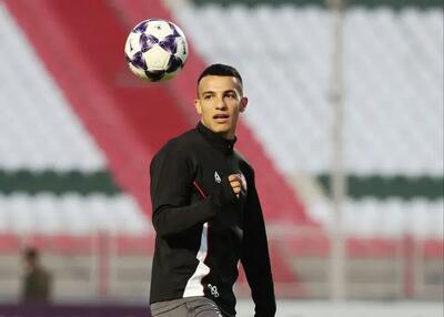 حسین‌زاده، ایبانز و کریم بنزما! (عکس)